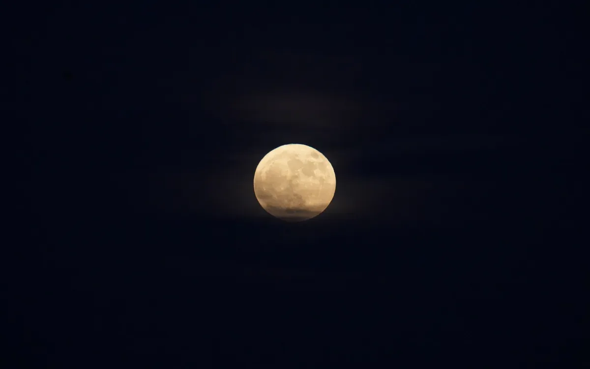 Rashi (Moon Sign) Compatibility in Marriage